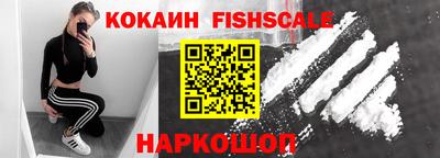 крисы Новодвинск