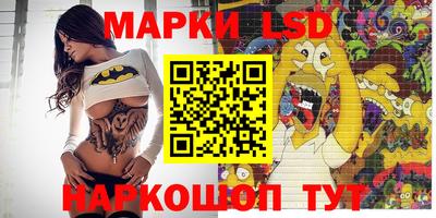 крисы Новодвинск