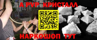 крисы Новодвинск