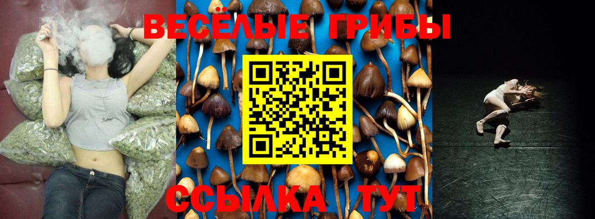 Углич  Галлюциногенные грибы Psilocybe  Вход с VPN 