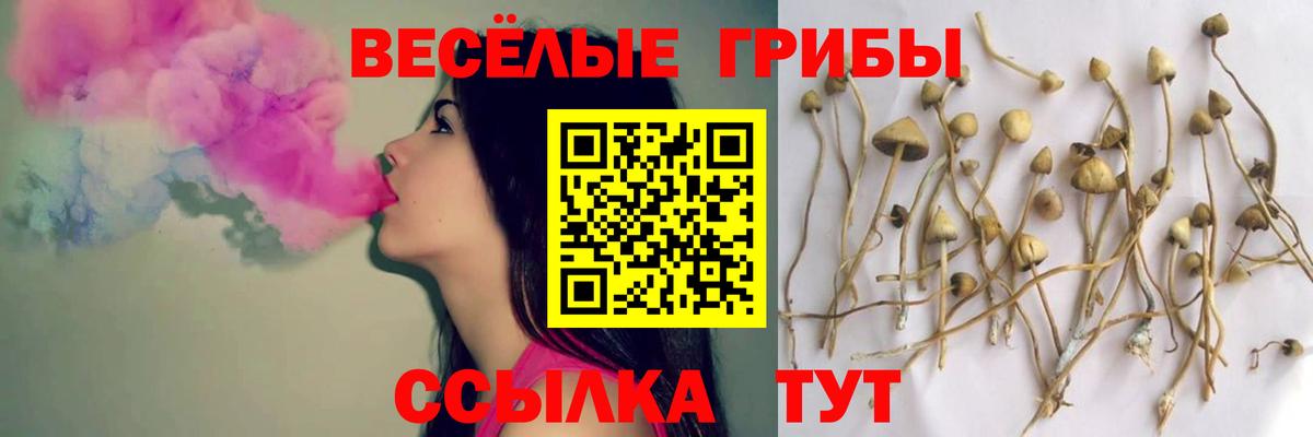 Псилоцибиновые грибы прущие грибы Углич